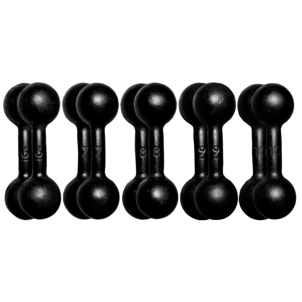 Par Halter Bola Pintado 6 a 10kg Treino Musculação Peso Livre Funcional Academia