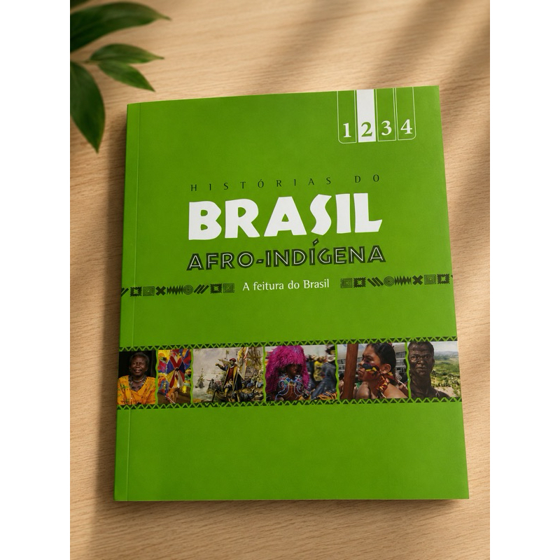 Histórias do Brasil Afro-Indígena: A Feitura do Brasil | Jussara Rocha Kouryh | Livro Educativo