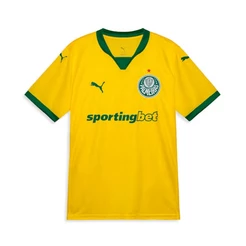 Camiseta Palmeiras Torcedor Third Puma ||| 25/26 Masculina