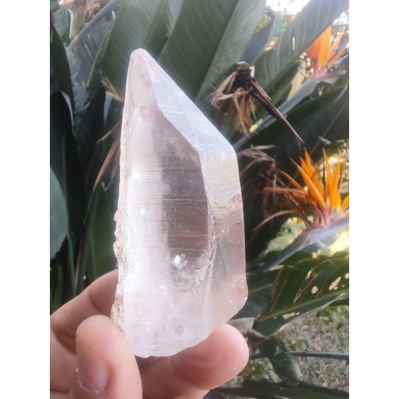 Cristal Branco Príncipe Lemúria Lítio Ponta Geradora 9cm 159g Coleção