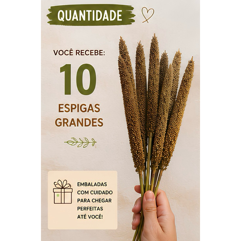 Painço em Espiga Natural para Calopsita, Periquito, Papagaio, Hamster e Roedores – 10 Espigas Selecionadas