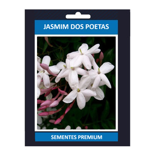 200 Sementes Jasmim Dos Poetas Com Manual De Cultivo Premium EXCLUSIVO