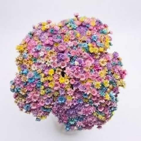 Flor Sempre Viva em cores Candy Colors, Kit com até 3.000 flores para decoração