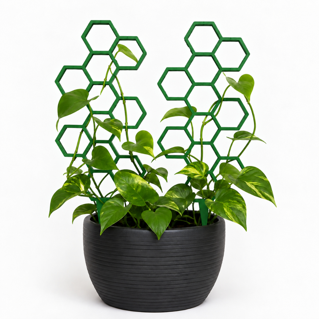 Kit 2 Treliças Colmeia para Plantas Trepadeiras Suporte Decorativo para Vasos 22cm
