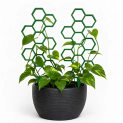 Kit 2 Treliças Colmeia para Plantas Trepadeiras Suporte Decorativo para Vasos 22cm