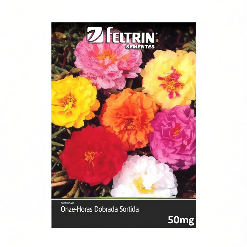 Sementes de Onze Horas Dobrada - Flores em Formato de Rosa com Cores Sortidas