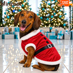 Colete Natal Pet – Fresquinho e Macio | Roupinha Natalina Cães | Conforto e Alto Acabamento