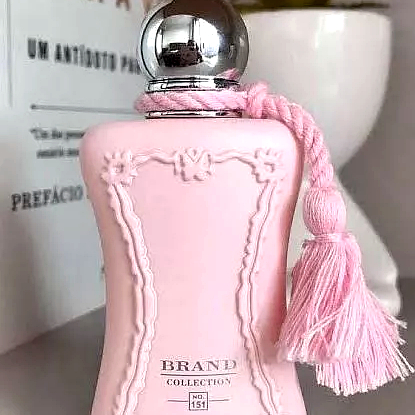 Perfume feminino de luxo presente Brand Collection 151 - Delina - Feminino - 25ml