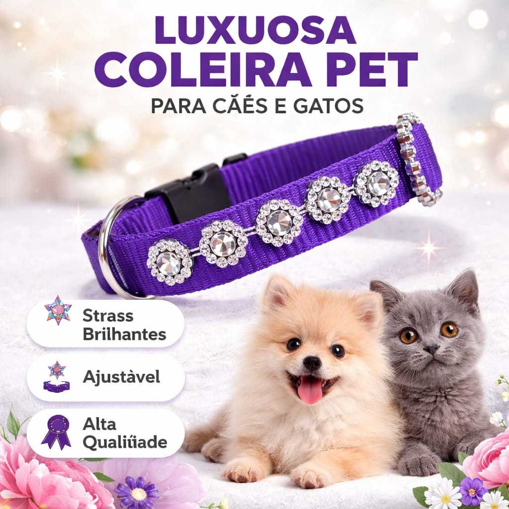 Coleira  Fofa Luxo Gatos Pets Presente Coleira Personalizada