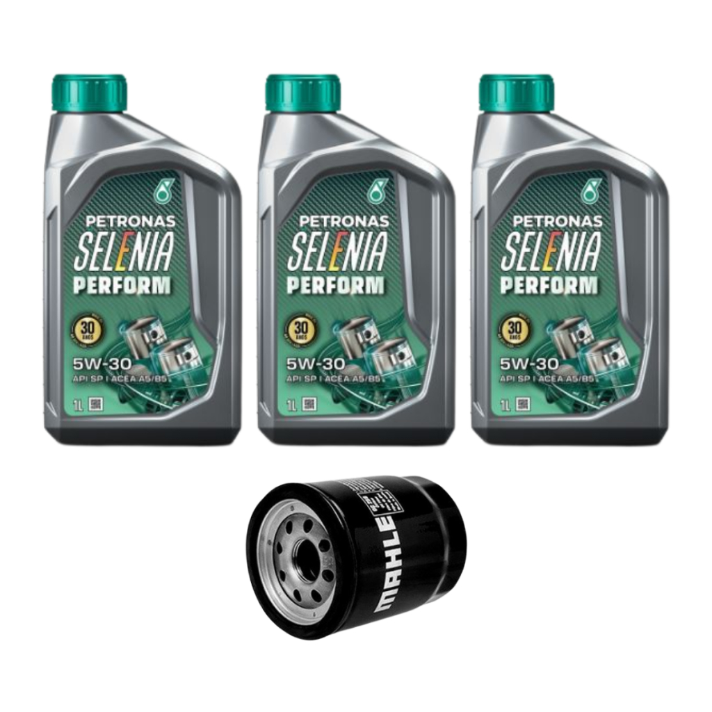 Kit Troca Óleo Original Selenia 5w30 Fiat Palio Strada Doblo Uno 500 Motor Fire 1.0 1.3 1.4 8/16v