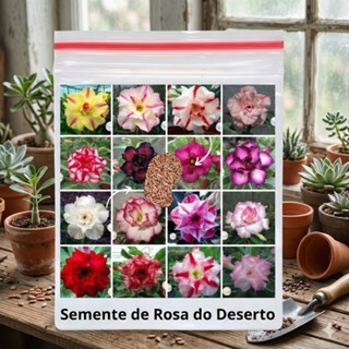 18 Sementes Rosa Do Deserto Cores Variadas Dobrada/tripla em Oferta na Shopee