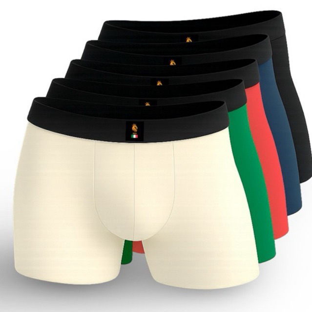 Kit 6 cuecas Boxer Box Adulto Masculina Microfibra Premium + Forro 100% Algodlao