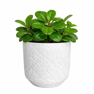 Cachepot floral para Decoração para planta Medida 16x16 cm decoração area externa