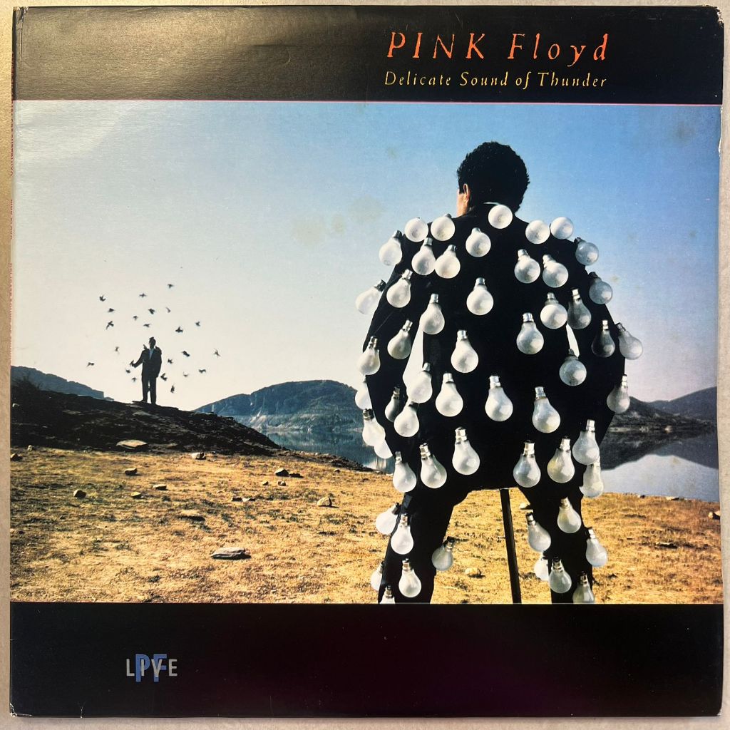 Lp Pink Floyd 1988 Delicate Sound Of Thunder, disco de Vinil Duplo