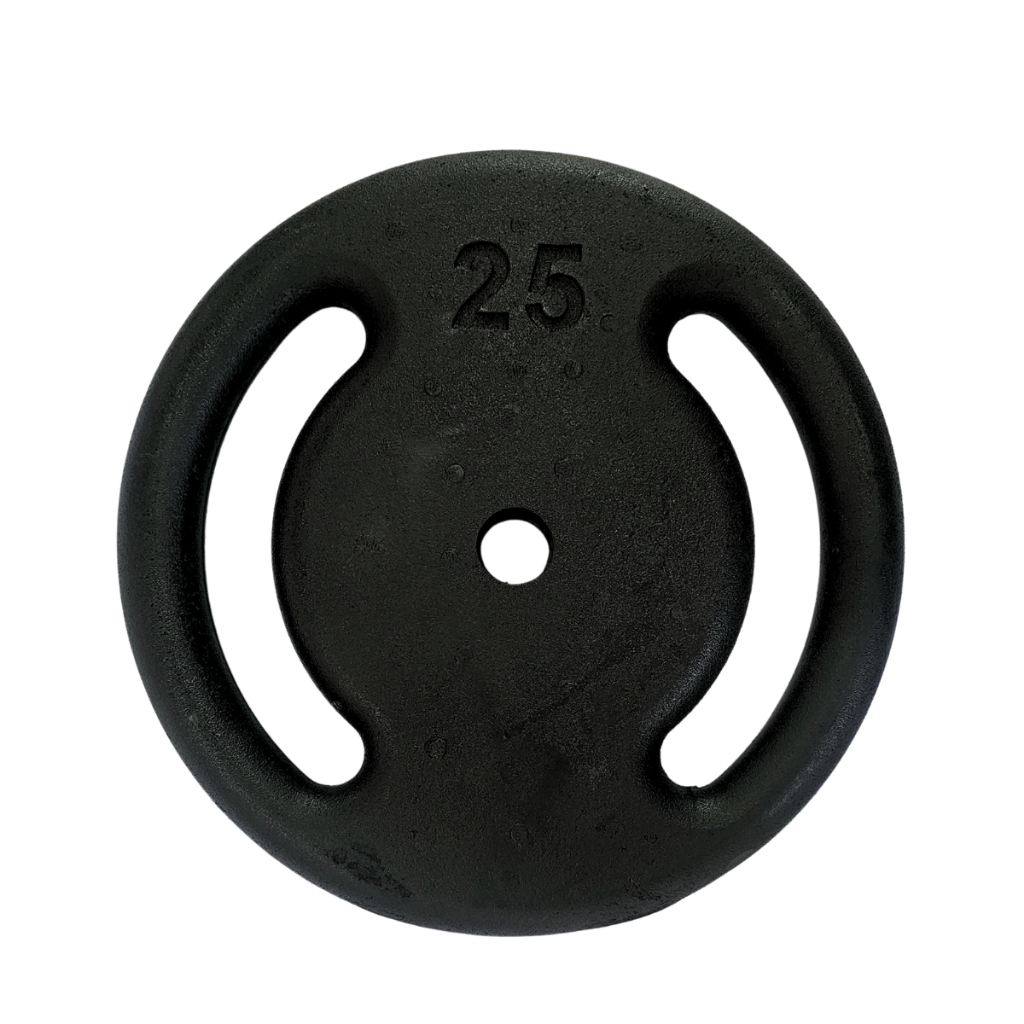 Anilha 25kg Pintada Ferro Fundido Profissional para Musculação Levantamento de Peso Casa Fitness