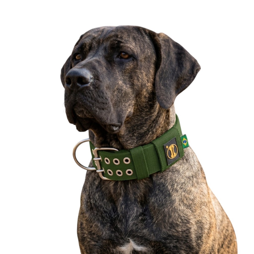 Coleira Verde Militar Tradicional P/ Cachorro Grande Pitbull Dobermann bernese Dogue Fila Husky Pets