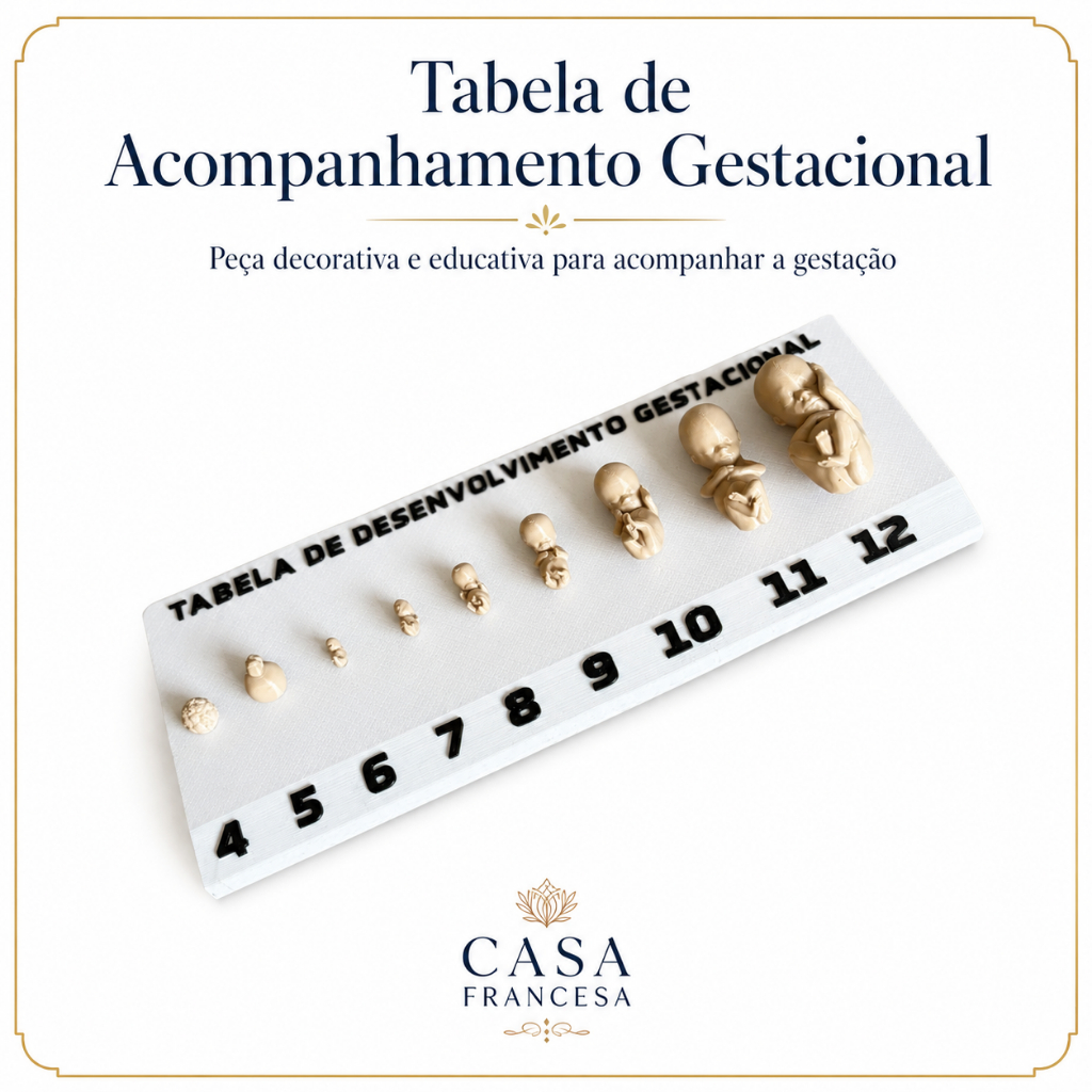 Tabela Gestacional Fetos Em 3d Plástico Cor Natural Com Base ideal para médicos consultórios