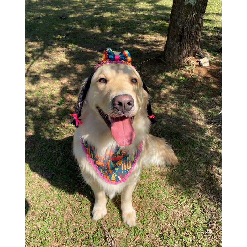 Kit Festa Junina - Bandana Junina Pet - Festa Junina Pet - Fantasia Pet - Chapéu Pet