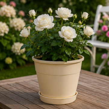 Conjunto 2 Vasos 1,5 Litros Bege Preto Marrom Com Prato Decoração plantas jardineira cuia p16 FLORES