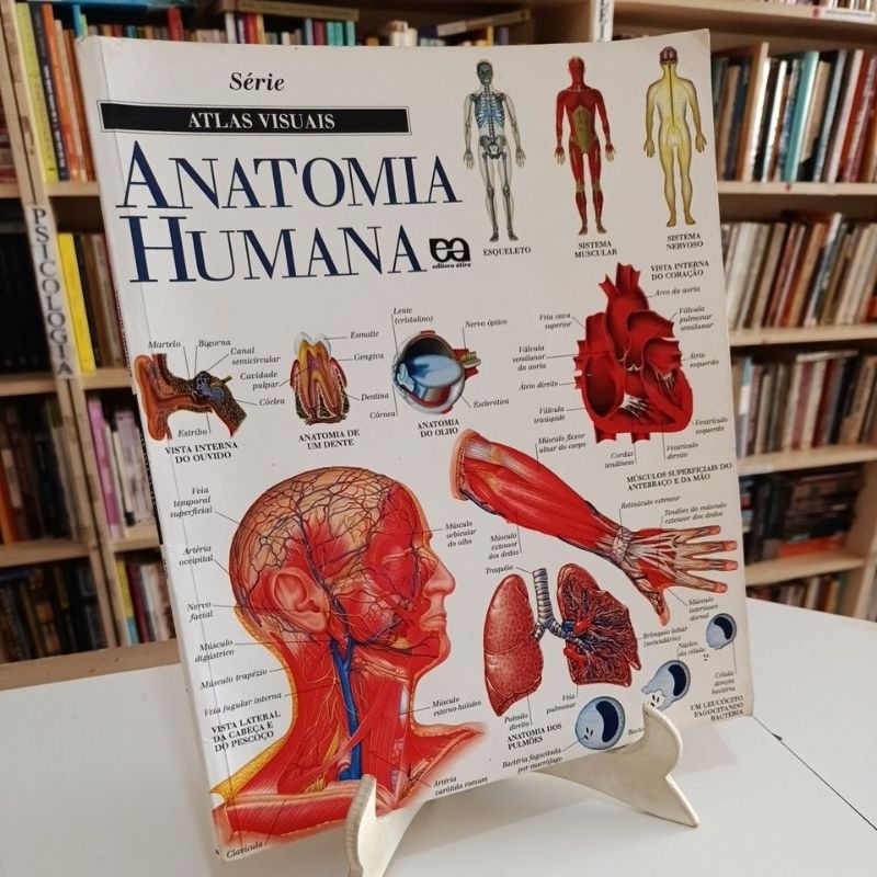 Série Atlas Visuais - Anatomia Humana - editora ática