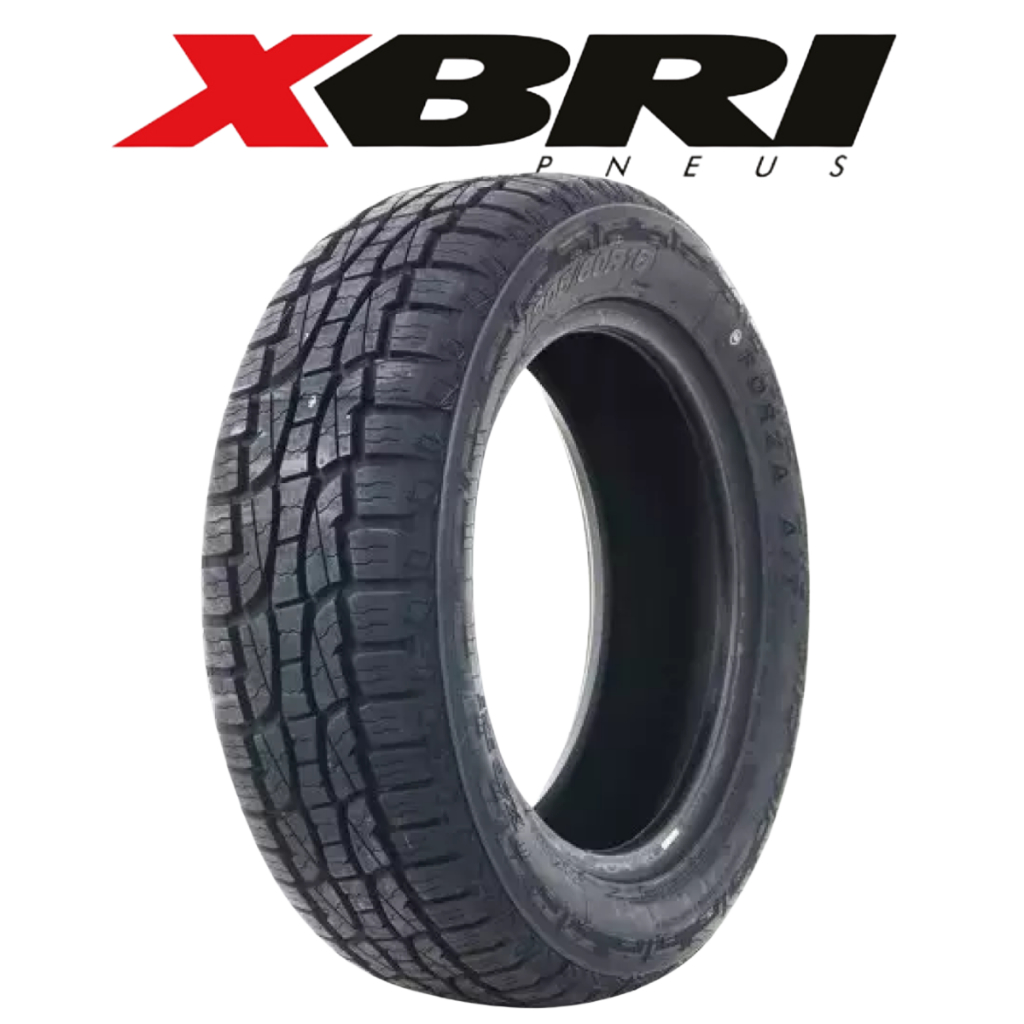XBRI Forza