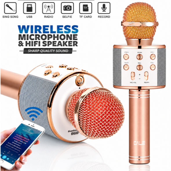 WS-858 - Microfone infantil de Karaoke Microfone de Brinquedo Sem Fio Bluetooth