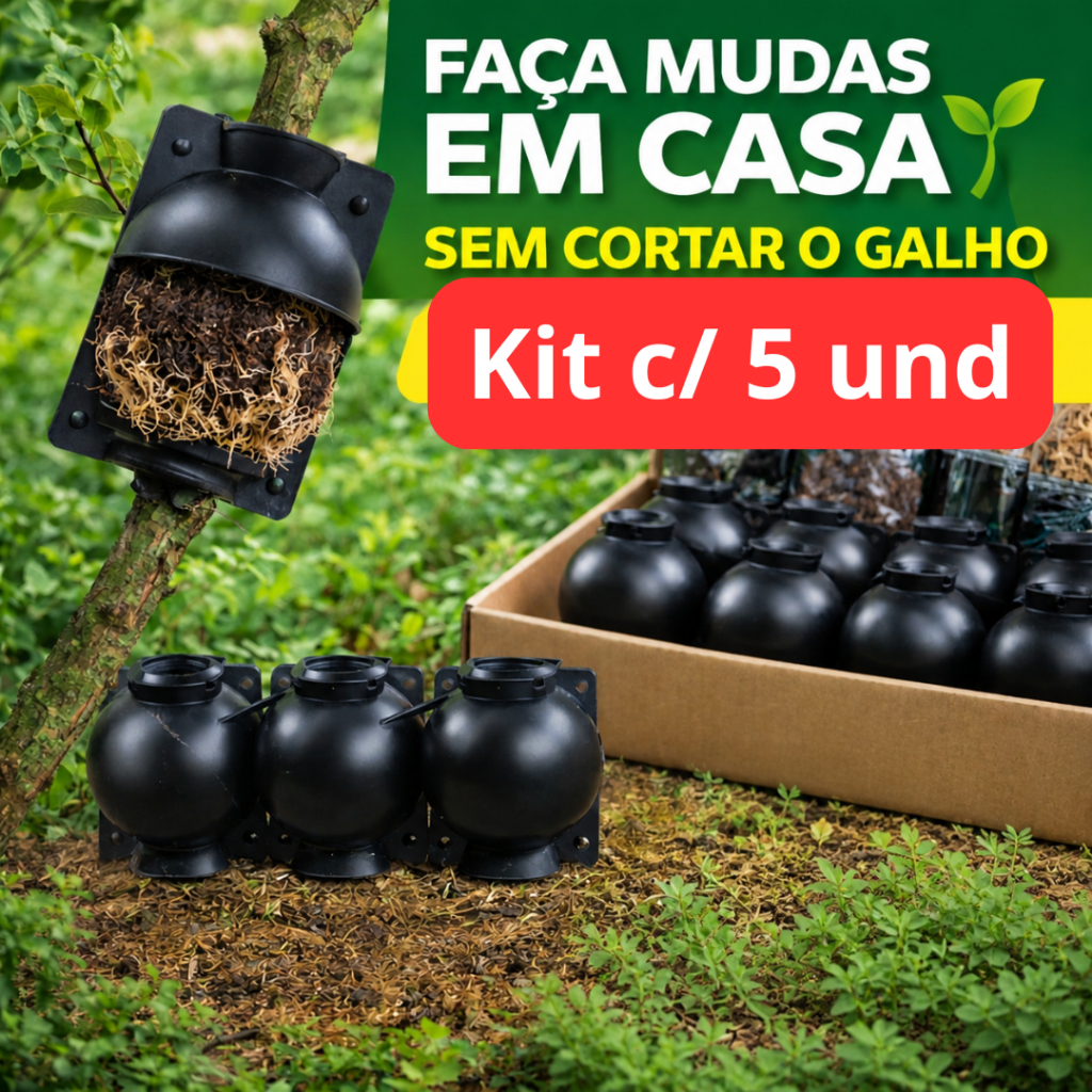 Kit 5 Unidades Esfera enxertia para Clonar Plantas Alporquia enxerto