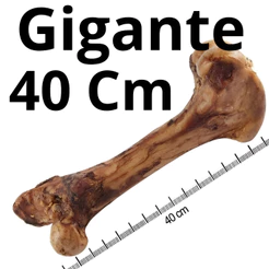 Osso Fêmur Bovino Defumado gigante big Petisco Para Cães Natural 40 cm