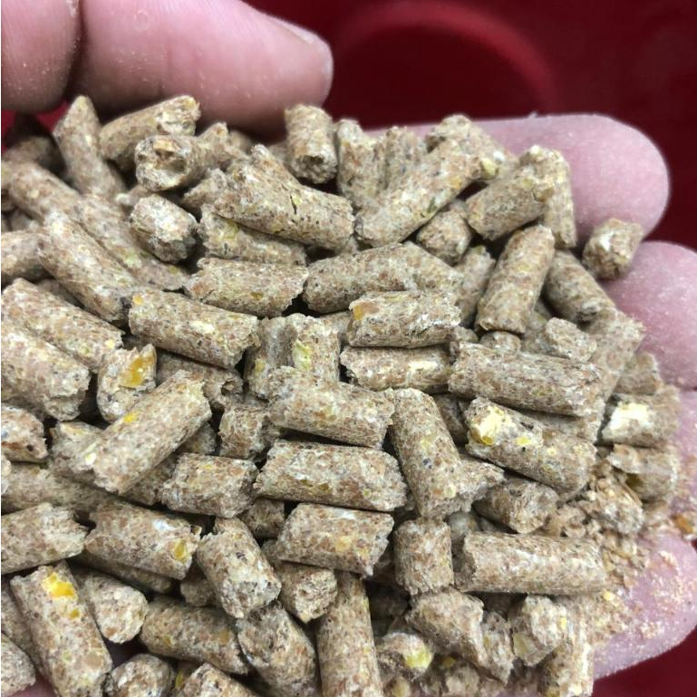 Até 25KG Ração para Cabras, Ovelhas, Carneiro, Bode e Cabritos 14% Proteìna ( Caprinos / Ovinos )