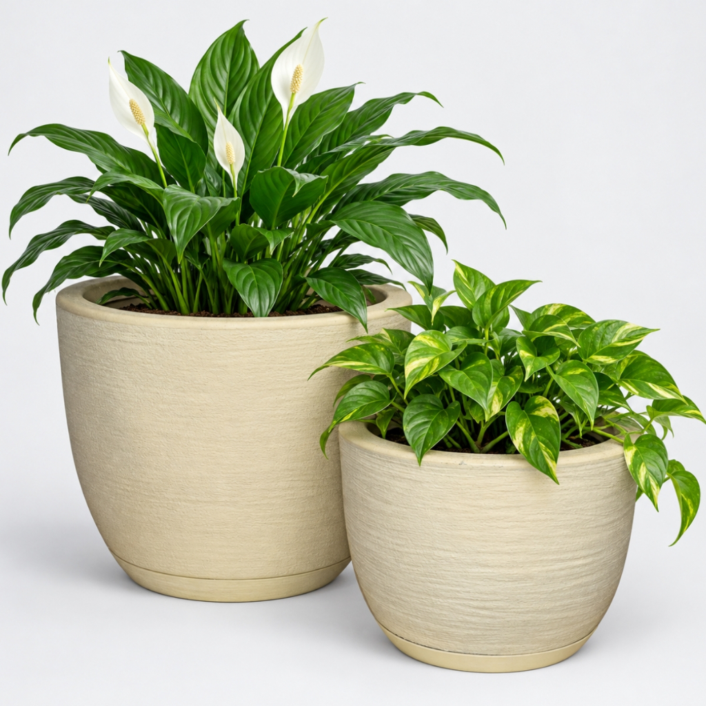 Kit 2 Vasos para Plantas Bojo Escovado 1,2 com Prato Coletor