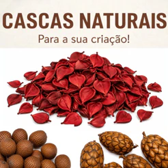 Cascas, Folhas e Sementes Naturais Desidratadas para Arranjos, Artesanato e Decoração Rústica