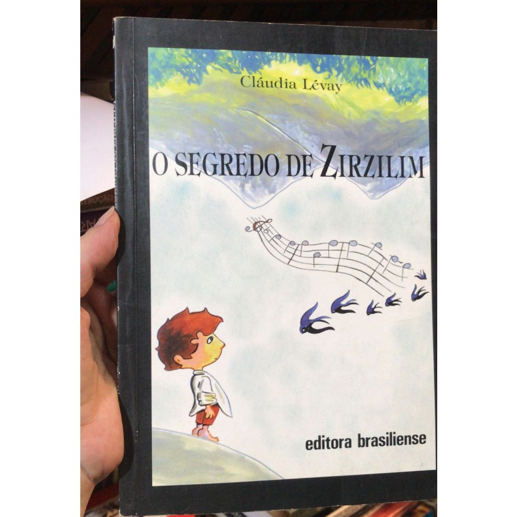 O SEGREDO DE ZIRZILIM - O MENINO QUE VIA O MUNDO DE CABEÇA PARA BAIXO - CLÁUDIA LÉVAY