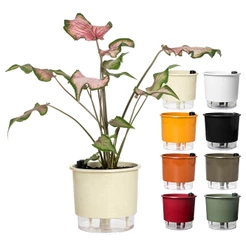 Vaso Raiz Auto Irrigável 16cm N3 Autoirrigável Plantas Cores