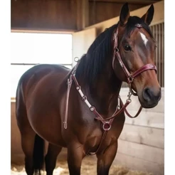 Peiteira para cavalo, equinos couro legítimo, muares traia de frente, peitoral trança e aplique