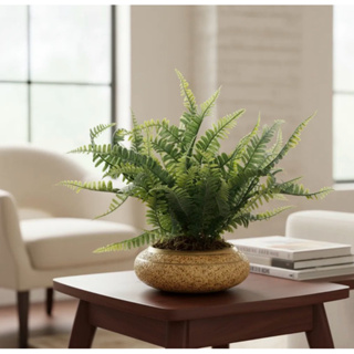Arranjo Samambaias Completo Artificiais Vaso Cerâmica home mesa em Oferta na Shopee