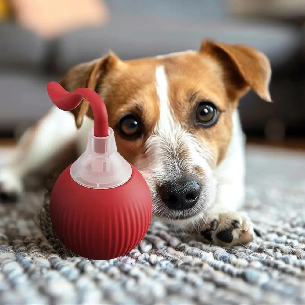Brinquedo Pet Automático para Gatos e Cães com Movimento Aleatório Bola Pet Eletrônica Interativa