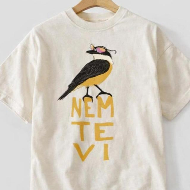 Camiseta Camisa Blusa T-shirt Oversized Feminina 100% Algodão Moda Feminina Estilosa Confortável