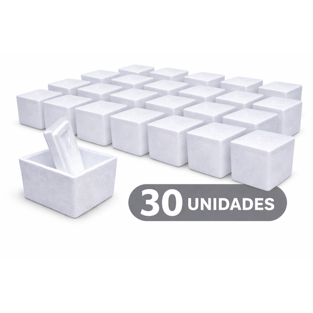 30 UN CAIXA DE termica ISPOR EPS PEQUENA - 250ml em Oferta na Shopee