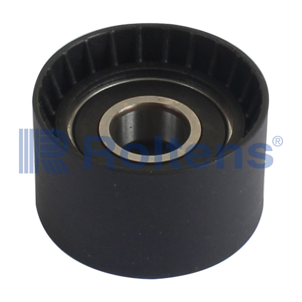 Polia Guia Correia Dentada Megane Duster Scénic 2.0 16v F4r