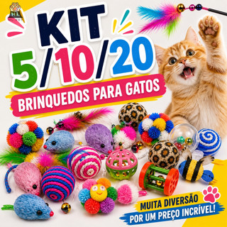 Kit 5/10/20 Brinquedos para Gatos Interativo Pet com ou sem Varinha Modelos Sortidos