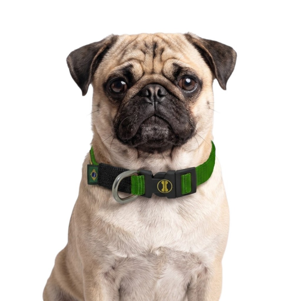 Coleira Pequena Verde Pug Cachorro Poodle Toy Spitz Alemão Little Collar Cão Amorosso