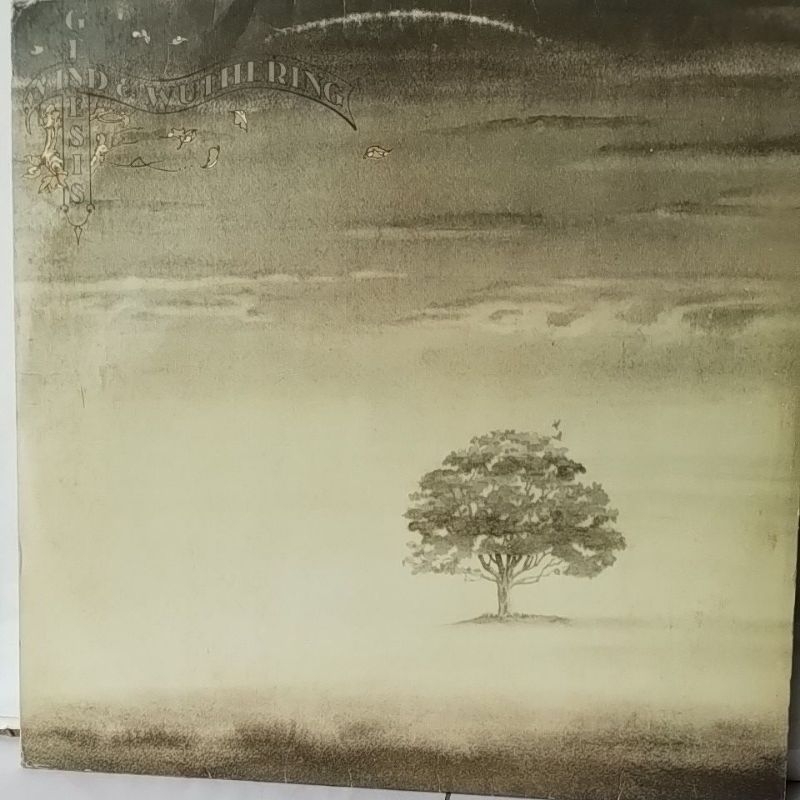 LP disco de vinil Genesis Wind and wuthering.