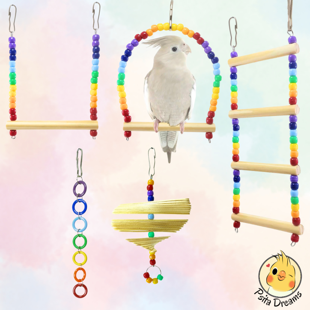 Kit 5 Brinquedos Arco-Íris, calopsita, agapornis, periquito, aves, acessórios para gaiola, poleiro, escada, balanço
