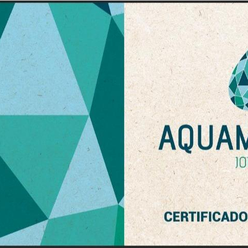 Pingente de Prata 925 Medalha São Bento MadrePérola — imagem 2 de 2