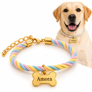 Coleira Colar Pet Pescoço Personalizado Identificação Plaquinha Folheado Ouro 18 Ossinho Cachorro