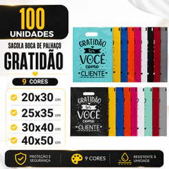 Kit 100 Sacola Boca de Palhaço 20x30 25x35 30x40 40x50 Gratidão Sacolinha para Lojas Frases Personalizadas