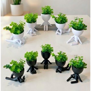 10 Vasinhos Suculentas Alt 6cm Robert Bob Planta Decoração com planta incluso em Oferta na Shopee