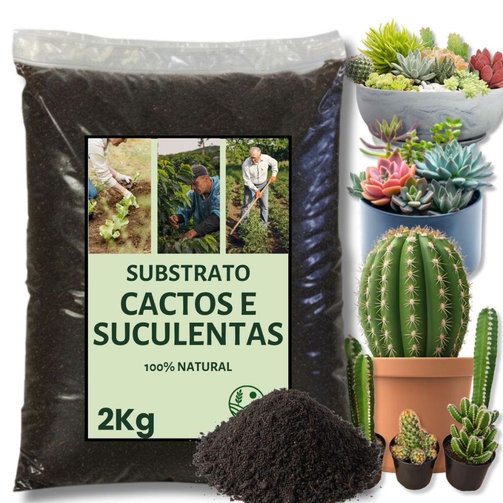 Terra Para Cactos Suculentas e Rosa do Deserto 2Kg - Substrato Arejado Pronto Para Uso Alta Drenagem