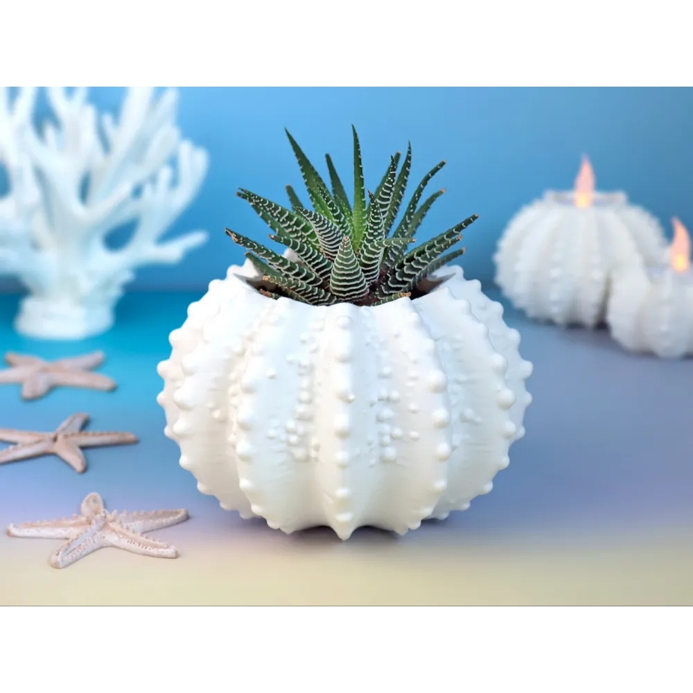 Cachepot Ouriço Do Mar, Vaso Decorativo, Vaso Para Suculentas, Decoração Praiana, Vaso Criativo, Cachepot Moderno