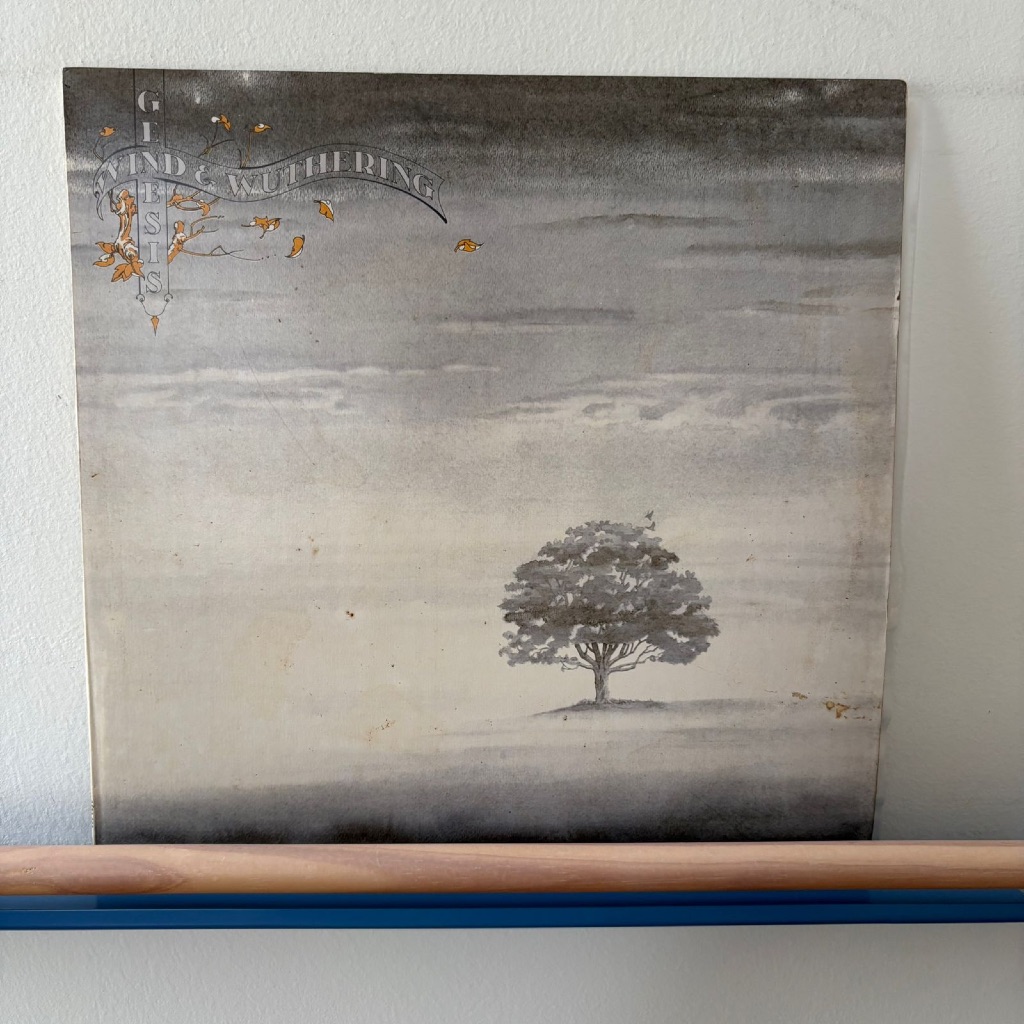 LP Genesis – Wind & Wuthering (1977) Disco de Vinil VG